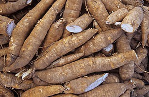 Cassava (lb)