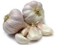 Garlic Fresh (bunch)