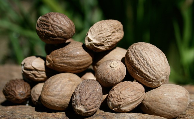 Nutmeg (bag of 3)
