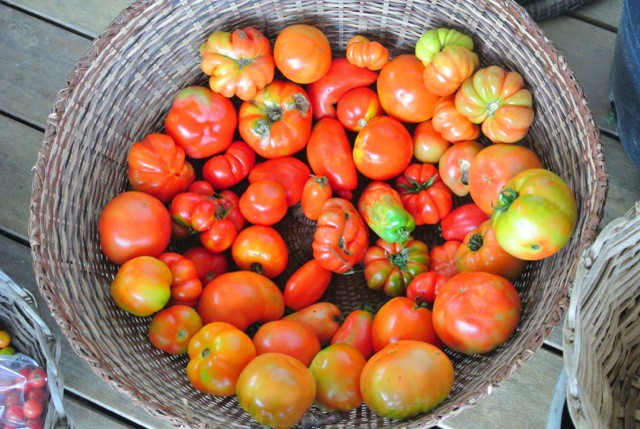 Tomatoes (lb or punit)