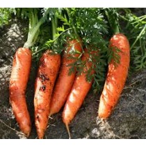 Carrots (lb)
