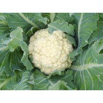Cauliflower (lb)